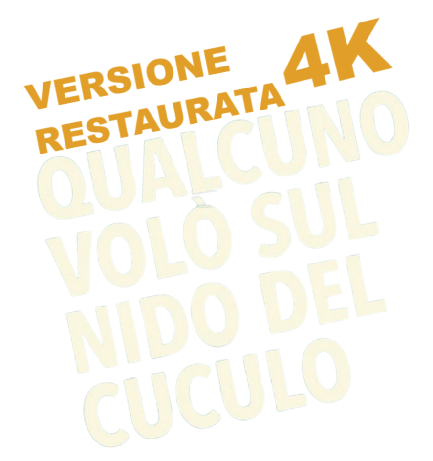 Qualcuno volò sul nido del cuculo